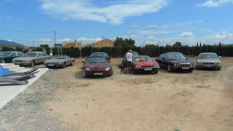 The superb selection of 11 Jaguars at this meeting, a little down on our normal numbers but this one was a bit out in the wilds and a long way for some people to travel, but those few cars brought 25 enthusiastic members.