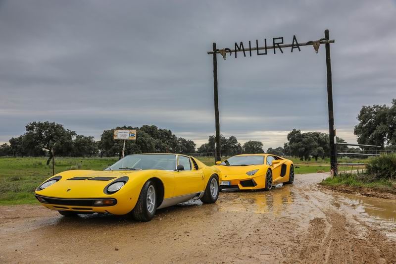 LAMBORGHINI CELEBRATING THE 50 YEARS OF THE MIURA LAMBORGHINI