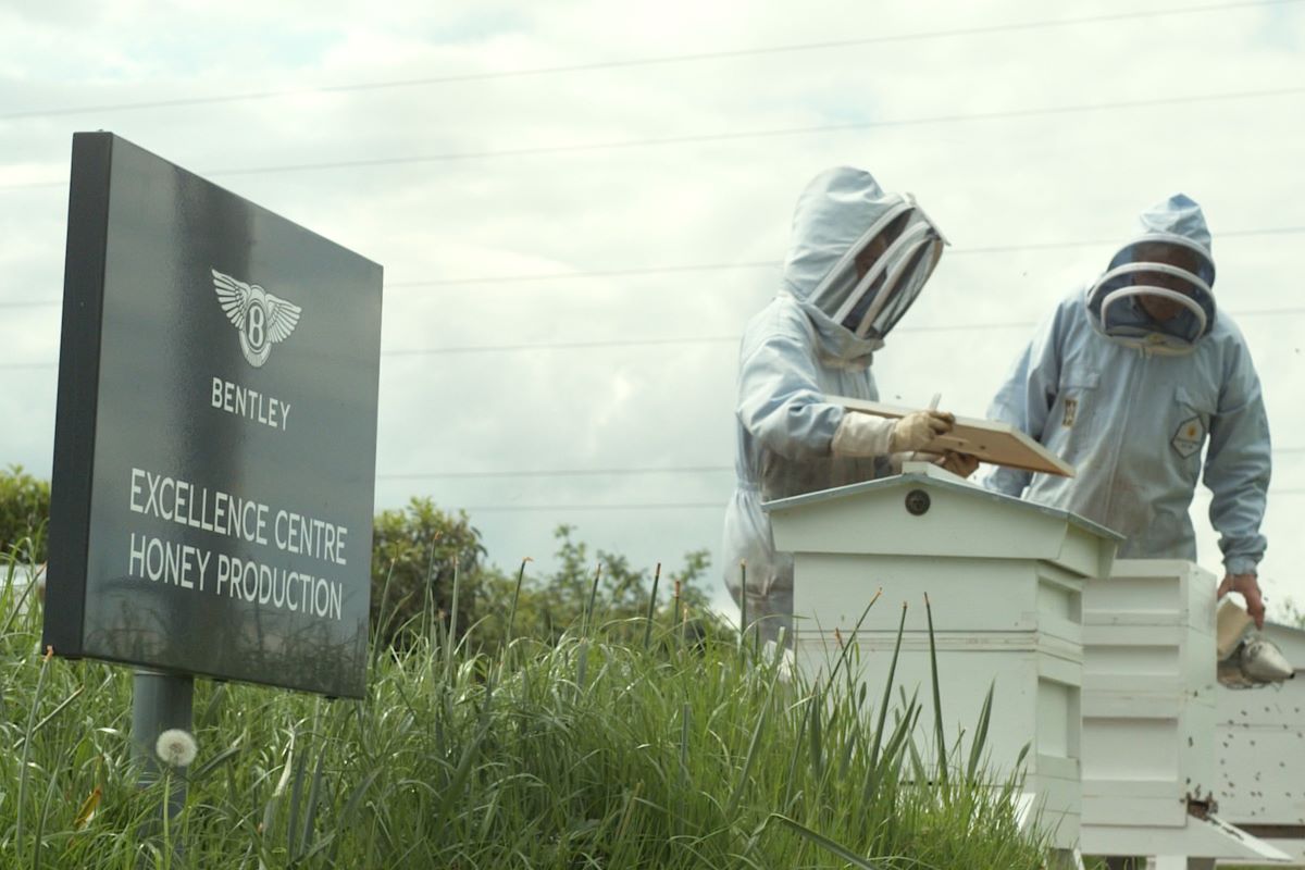 WORKFORCE OF BENTLEY ’S EXCELLENCE CENTRE FOR HONEY PRODUCTION REACHES ONE MILLION BEES