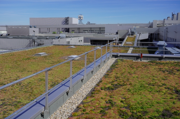 CASI 32.000 METROS CUADRADOS DE LOS TECHOS DE LA FÁBRICA DE LA PLANTA DEL GRUPO BMW EN DINGOLFING SERÁN VERDES PARA FINALES DE 2023