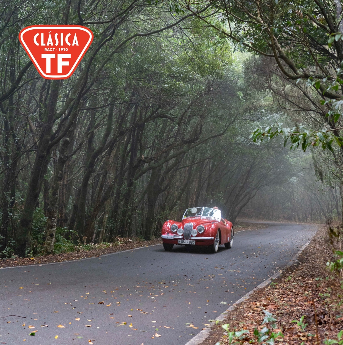 XXII CLÁSICA TENERIFE