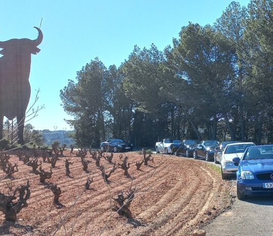 RUTA A REQUENA/BODEGAS MURVIEDRO DEL CLUB SLK VALENCIA RUTA A REQUENA/BODEGAS MURVIEDRO DEL CLUB SLK VALENCIA