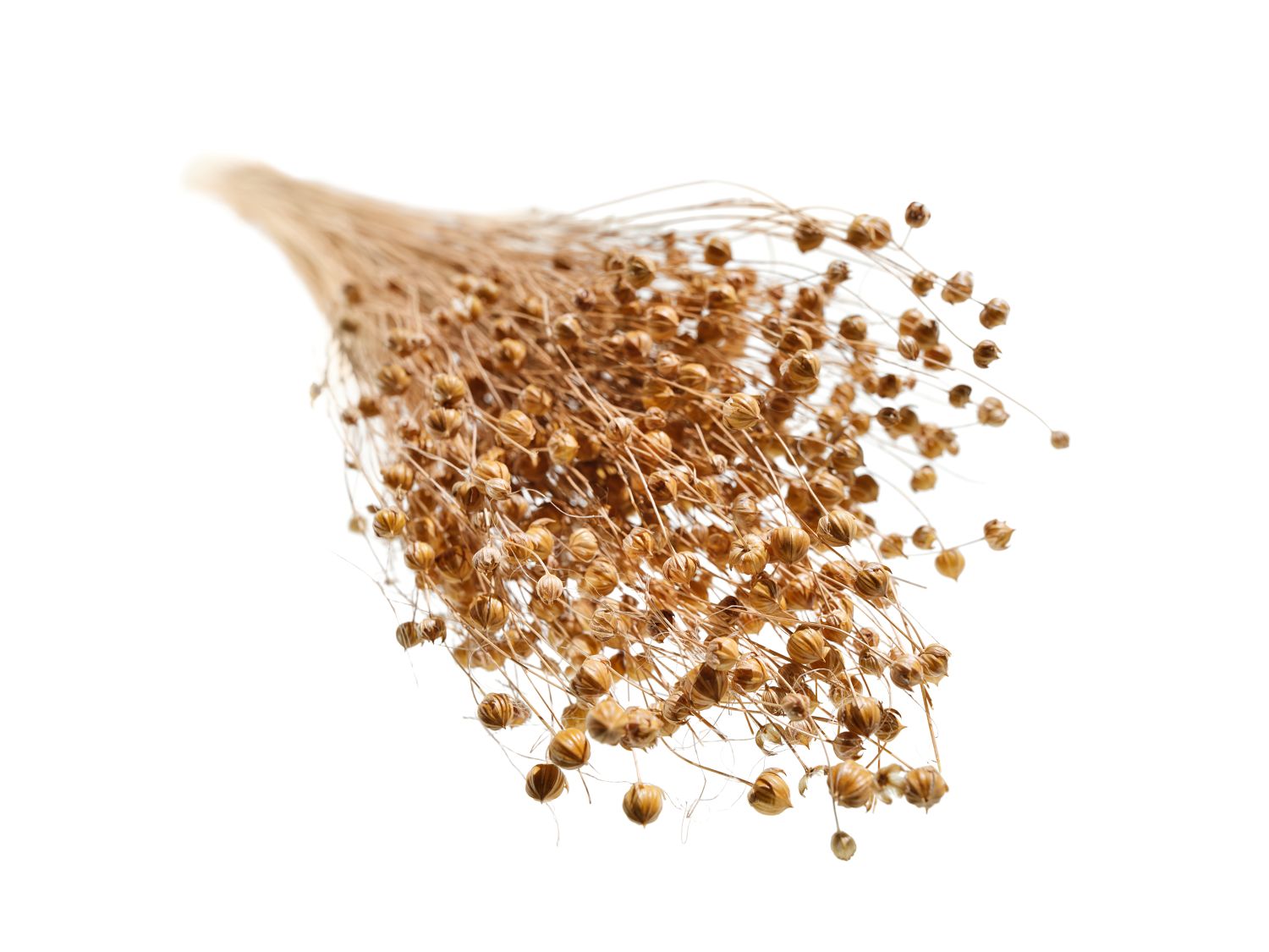 EL USO DE FIBRAS NATURALES CON UNA REDUCIDA HUELLA DE CO₂E EN MATERIALES COMPUESTOS HA COBRADO CADA VEZ MÁS IMPORTANCIA