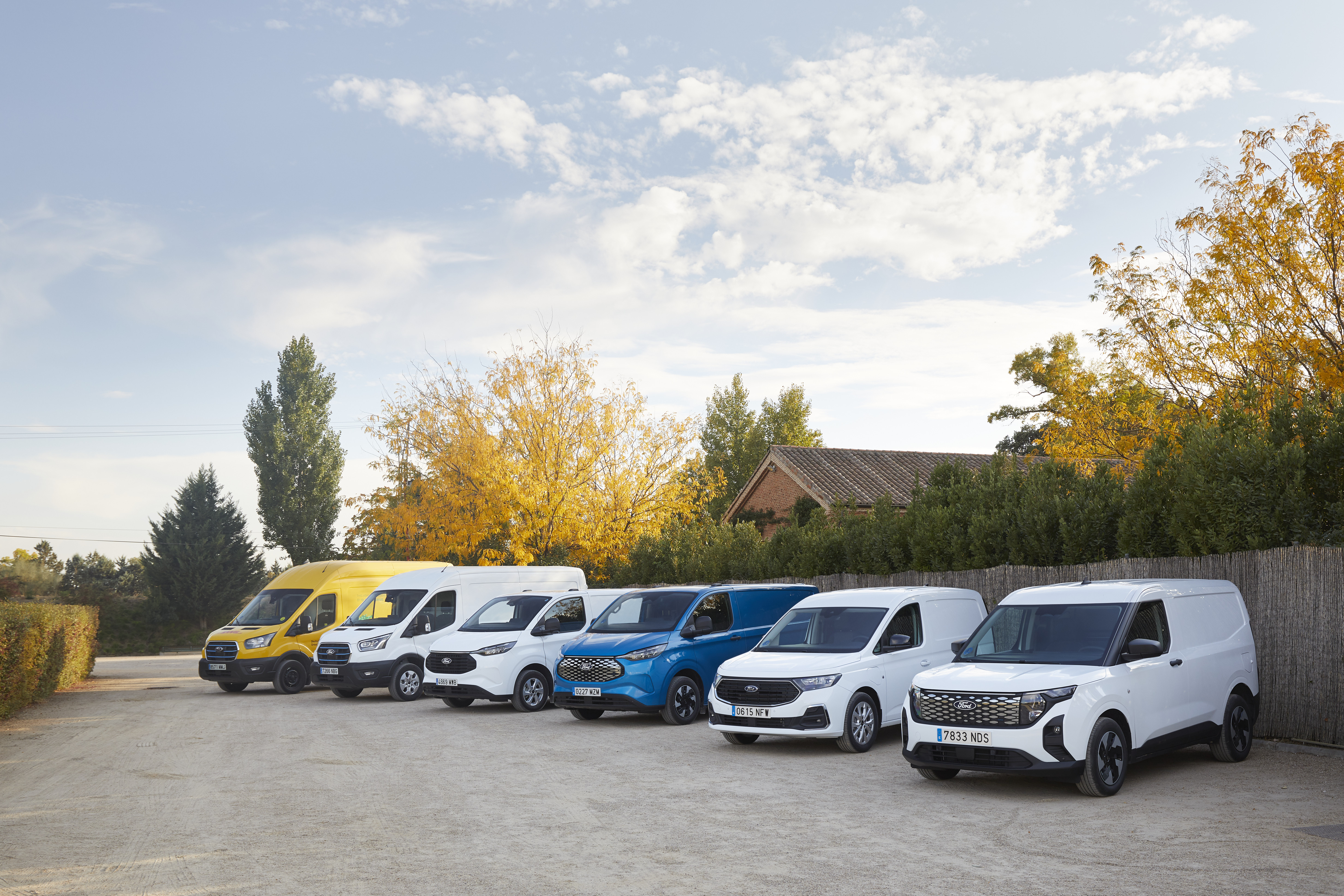 FORD TRANSIT CELEBRA 60 AÑOS