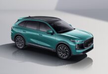 ¿CÓMO CAPTURAR LA SILUETA DE UN LEOPARDO EN UN COCHE? LEPAS L8