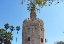EMPRESA CASAL INCORPORA 17 VEHÍCULOS IVECO BUS PARA EL ÁREA METROPOLITANA DE SEVILLA EMPRESA CASAL INCORPORA 17 VEHÍCULOS IVECO BUS PARA EL ÁREA METROPOLITANA DE SEVILLA
