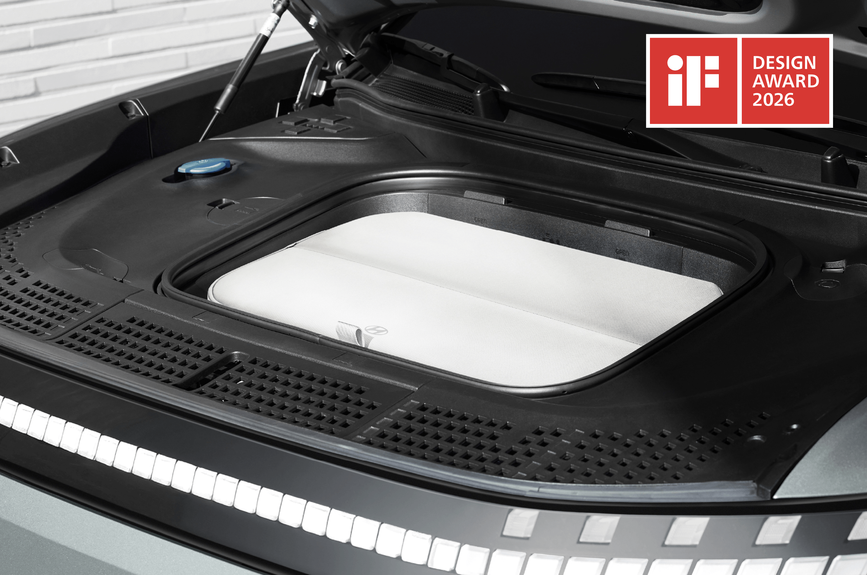 EV Frunk Cooler Bag